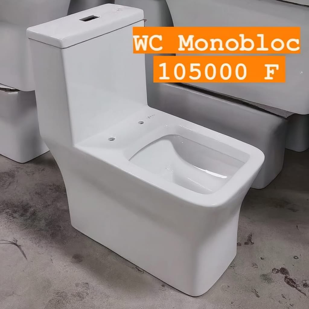 One-Piece Toilet